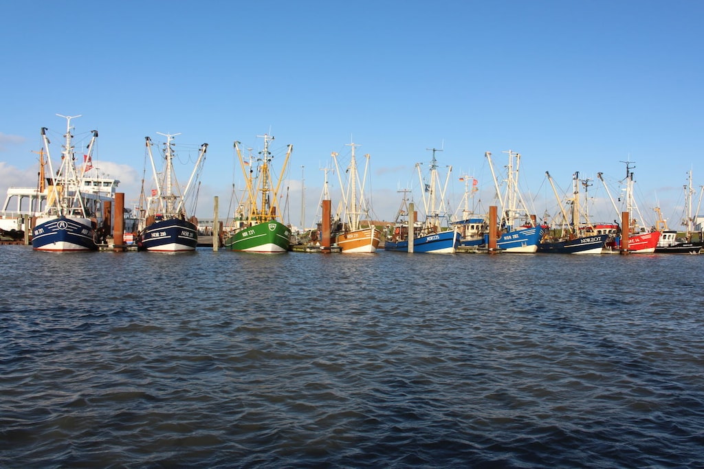 168149 - Niet-getagd