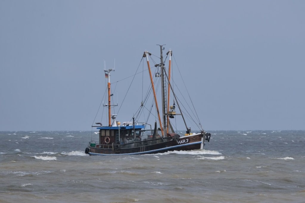 95948 - Niet-getagd