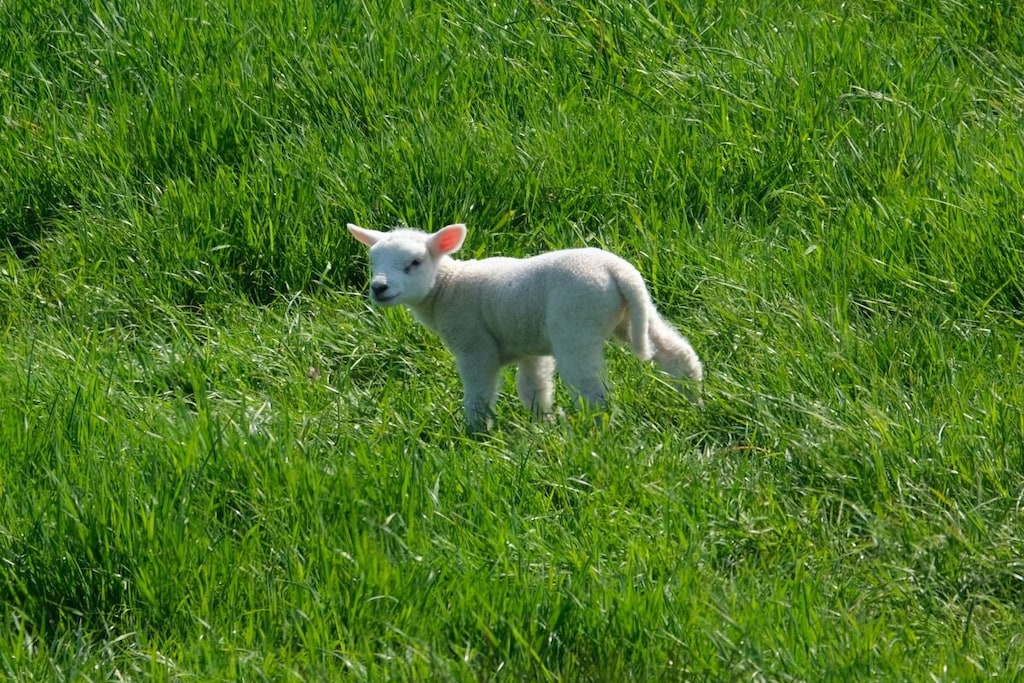 95948 - Niet-getagd