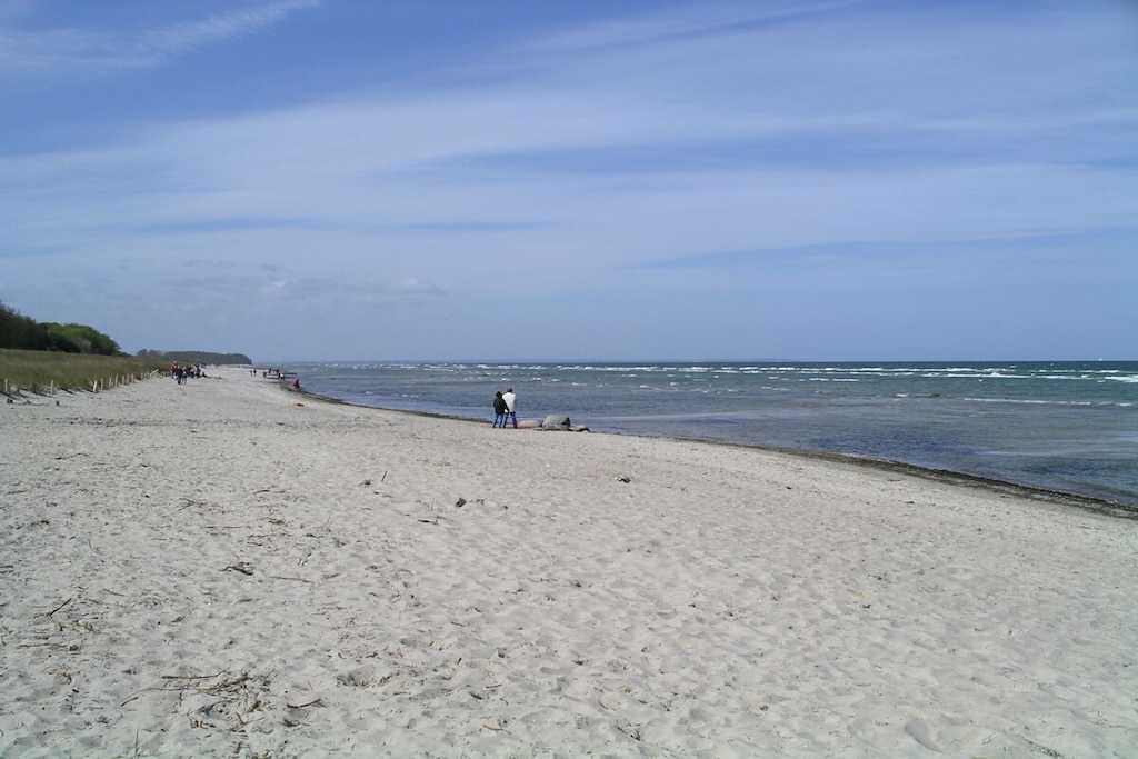 241513 - Niet-getagd