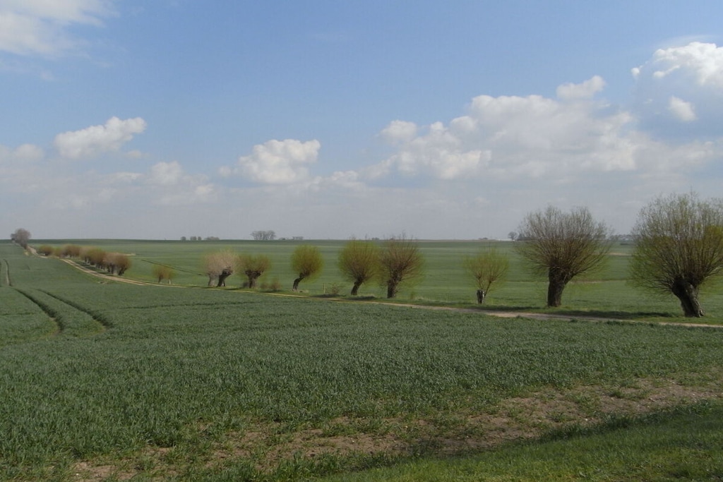 241513 - Niet-getagd