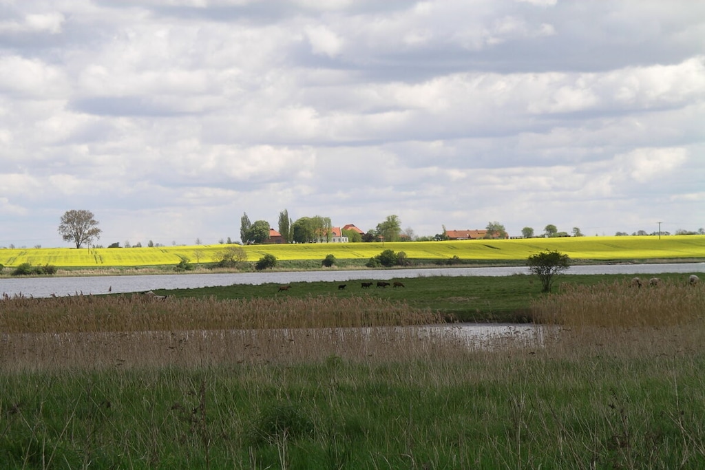241513 - Niet-getagd