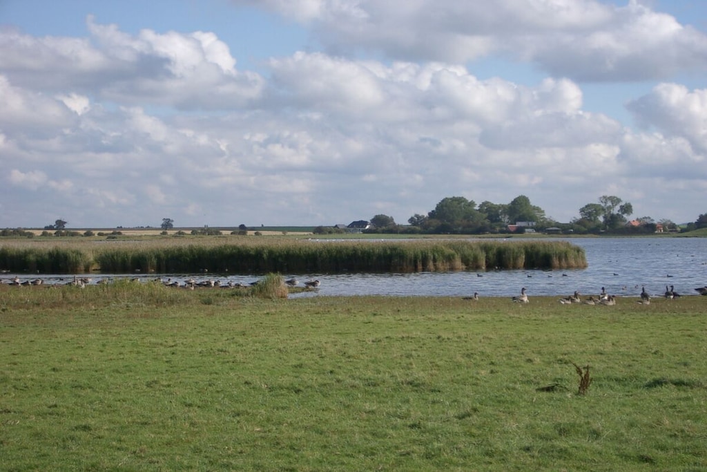 241513 - Niet-getagd