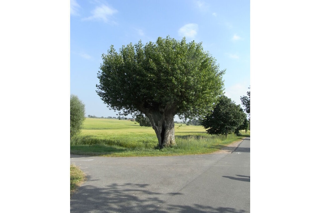 241513 - Niet-getagd