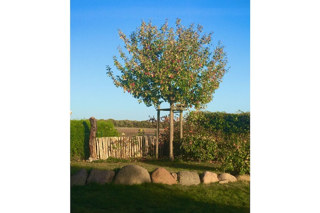 71078 - Niet-getagd