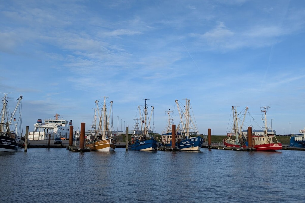 540668 - Niet-getagd