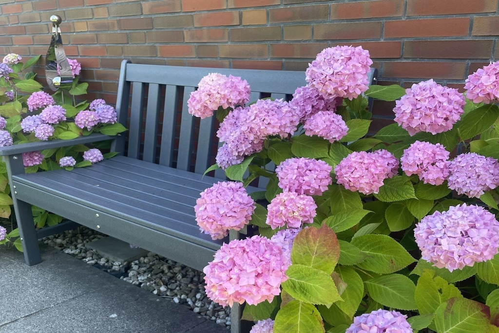 265707 - Niet-getagd