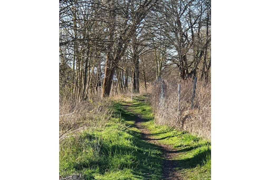297664 - Niet-getagd