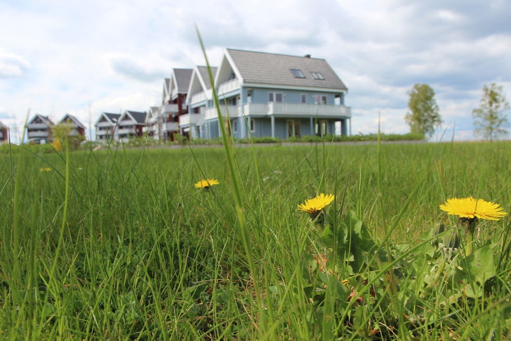 144018