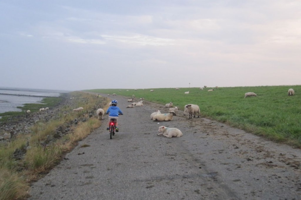 207181 - Niet-getagd