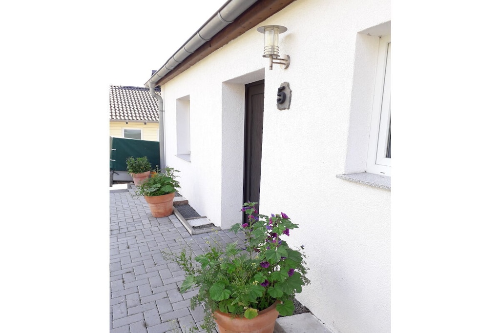 294002 - Niet-getagd