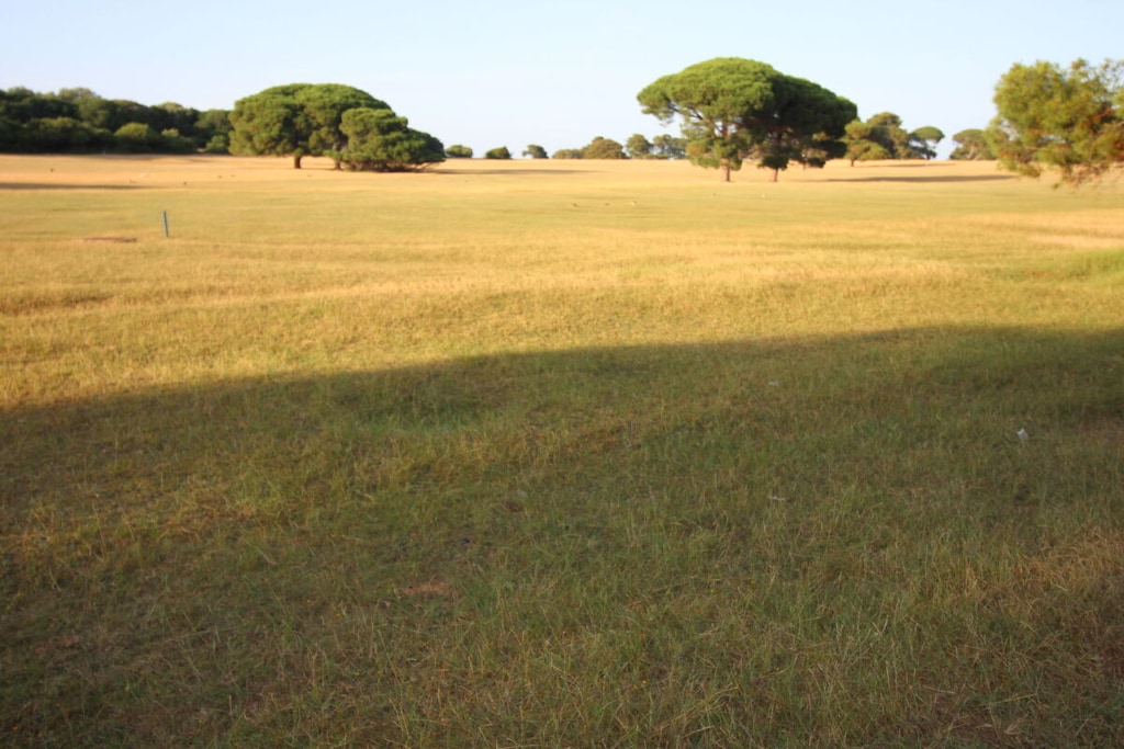 479378 - Non tagué
