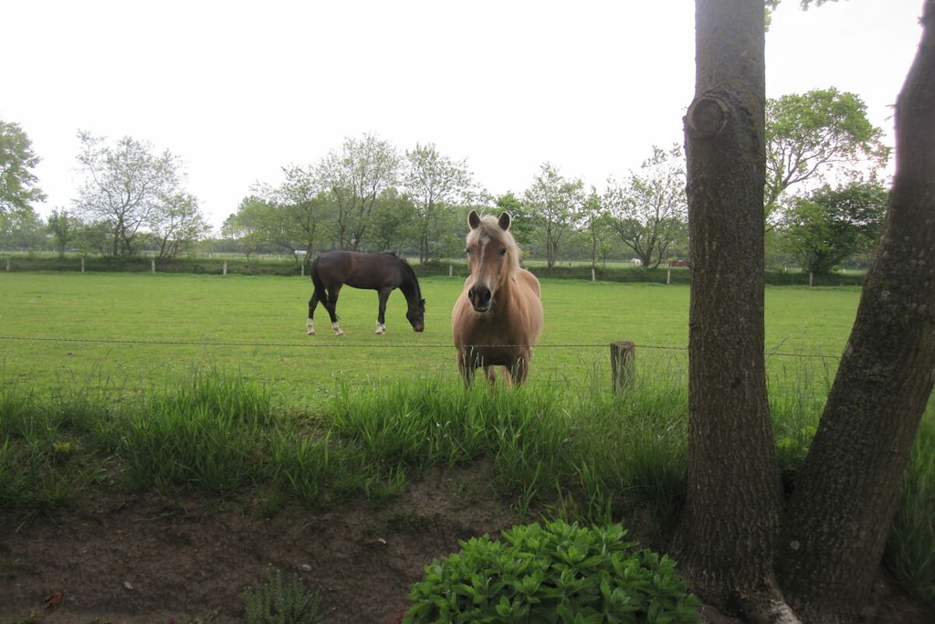 205160 - Niet-getagd