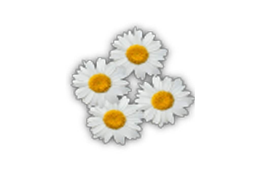 18145 - Niet-getagd