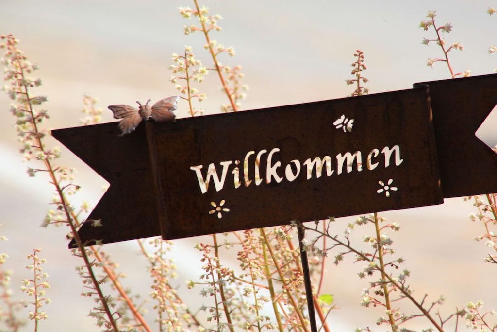 236955 - Niet-getagd