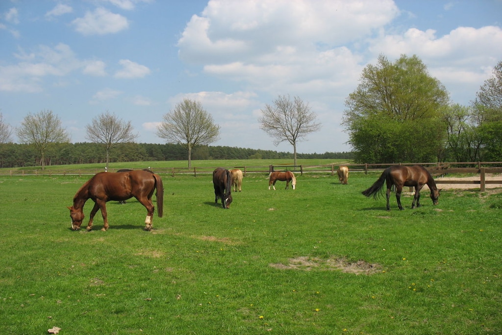 142780 - Niet-getagd