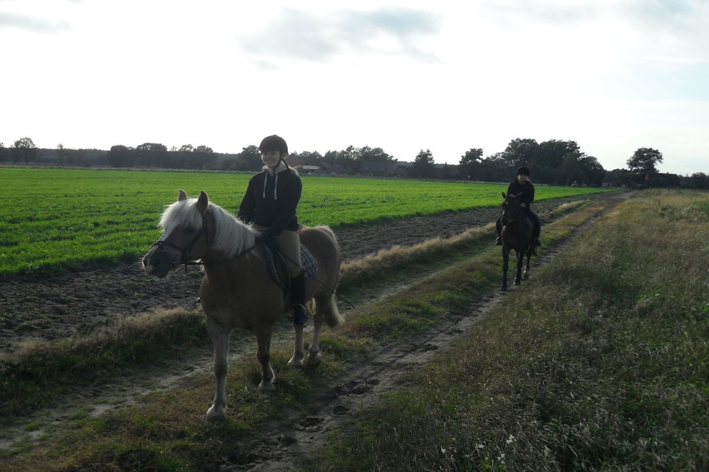 142780 - Niet-getagd
