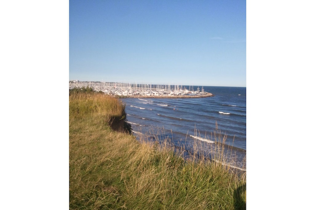 117366 - Niet-getagd