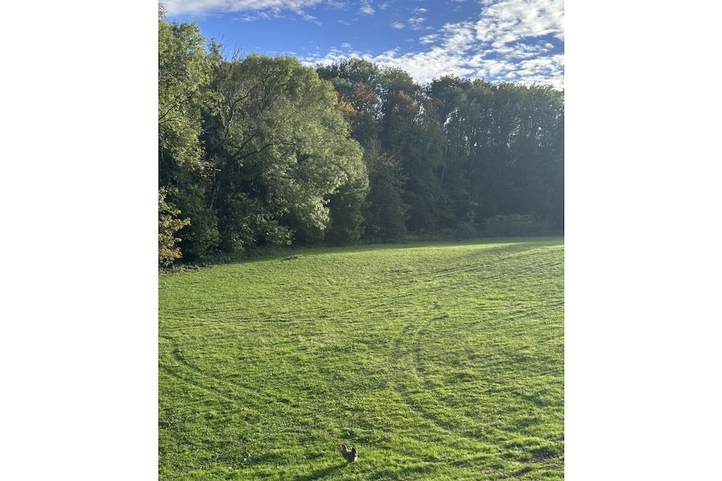 629525