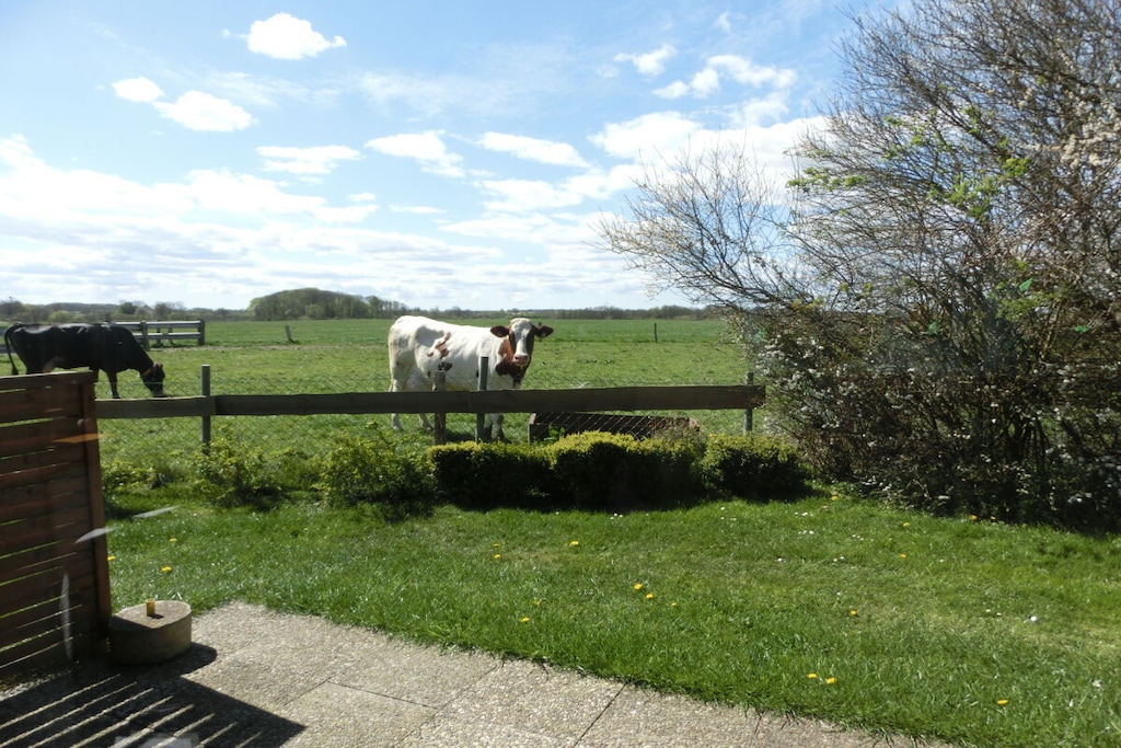42753 - Niet-getagd