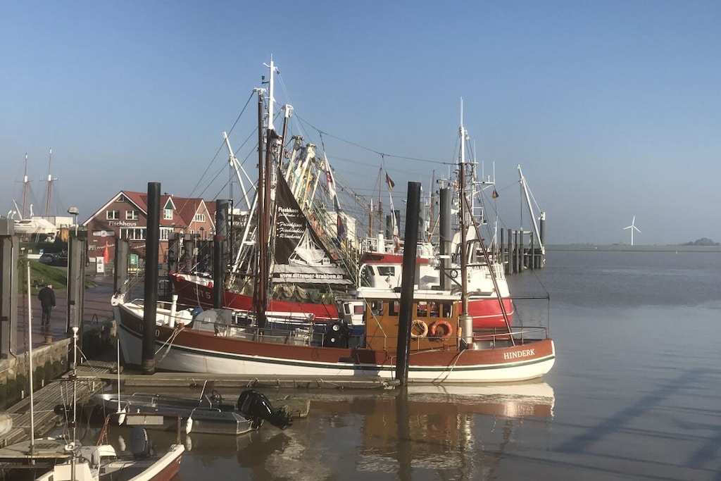 629638 - Niet-getagd