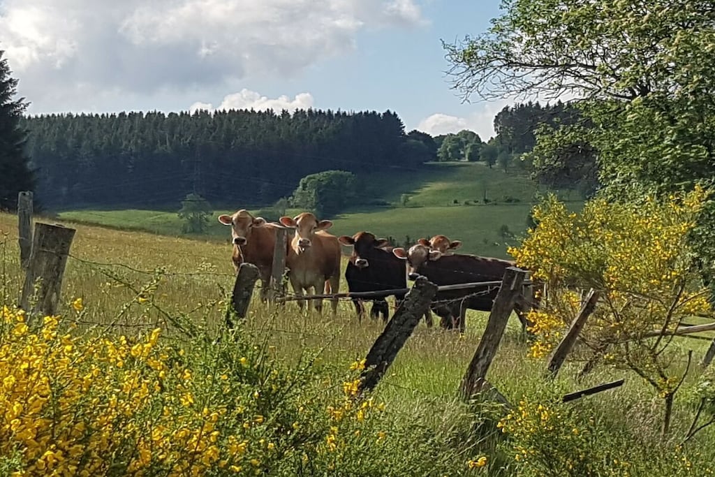314697 - Nicht zugeordnet