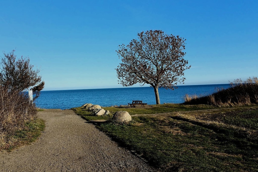 85344 - Niet-getagd