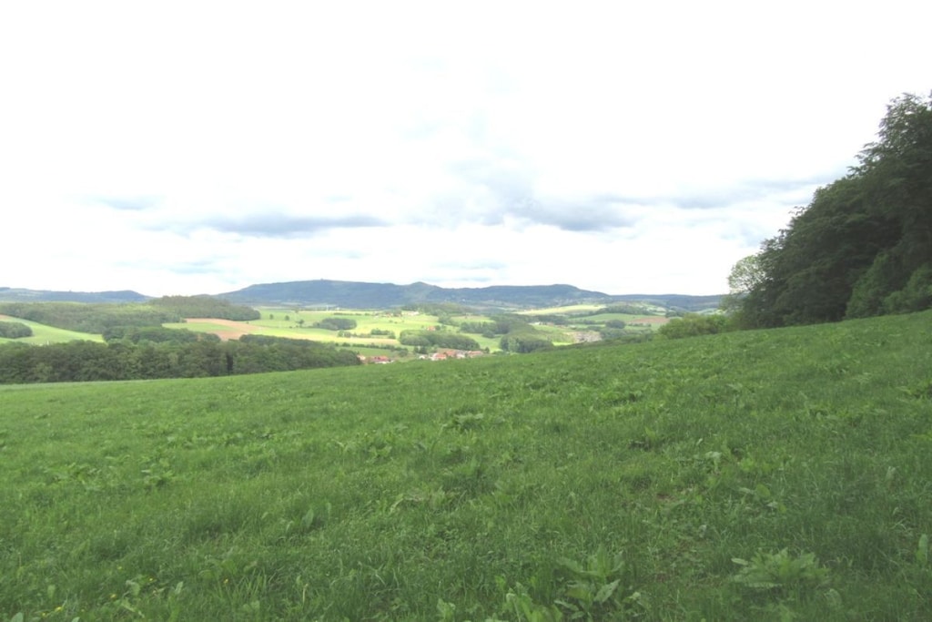 142750 - Non tagué