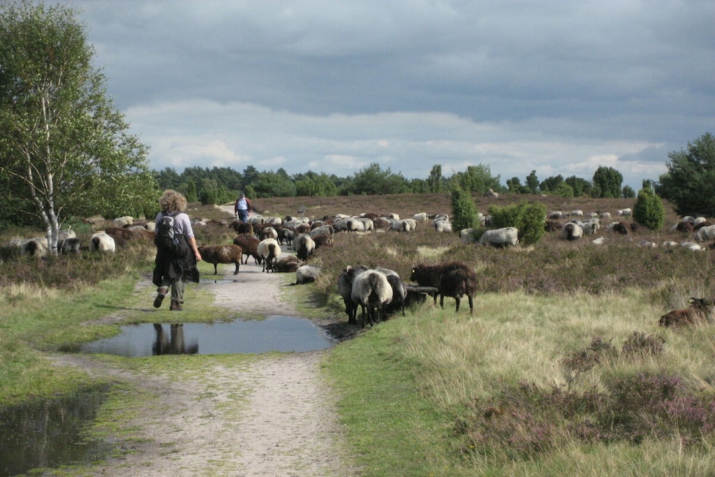 32528 - Niet-getagd