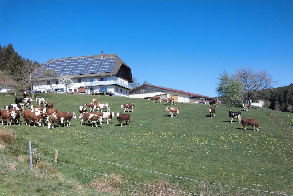 90941 - Niet-getagd