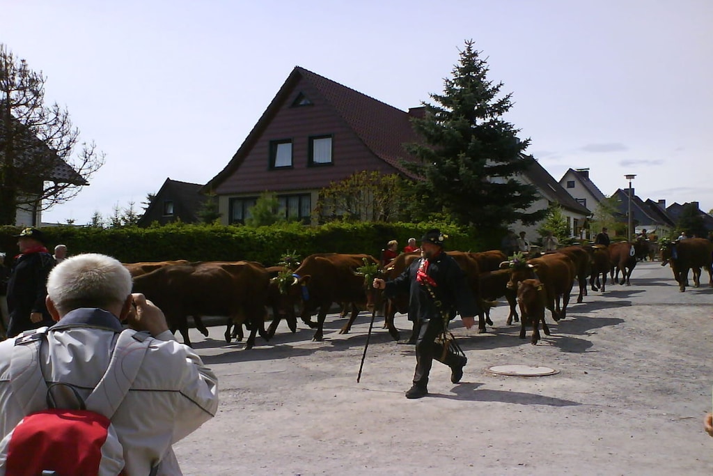 43159 - Niet-getagd