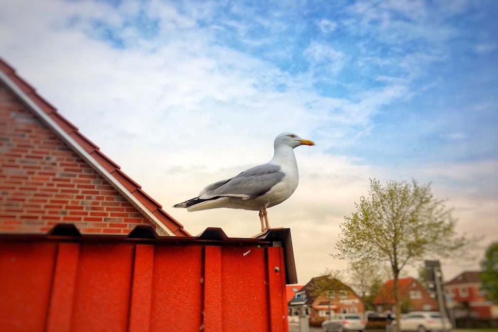 240499 - Niet-getagd