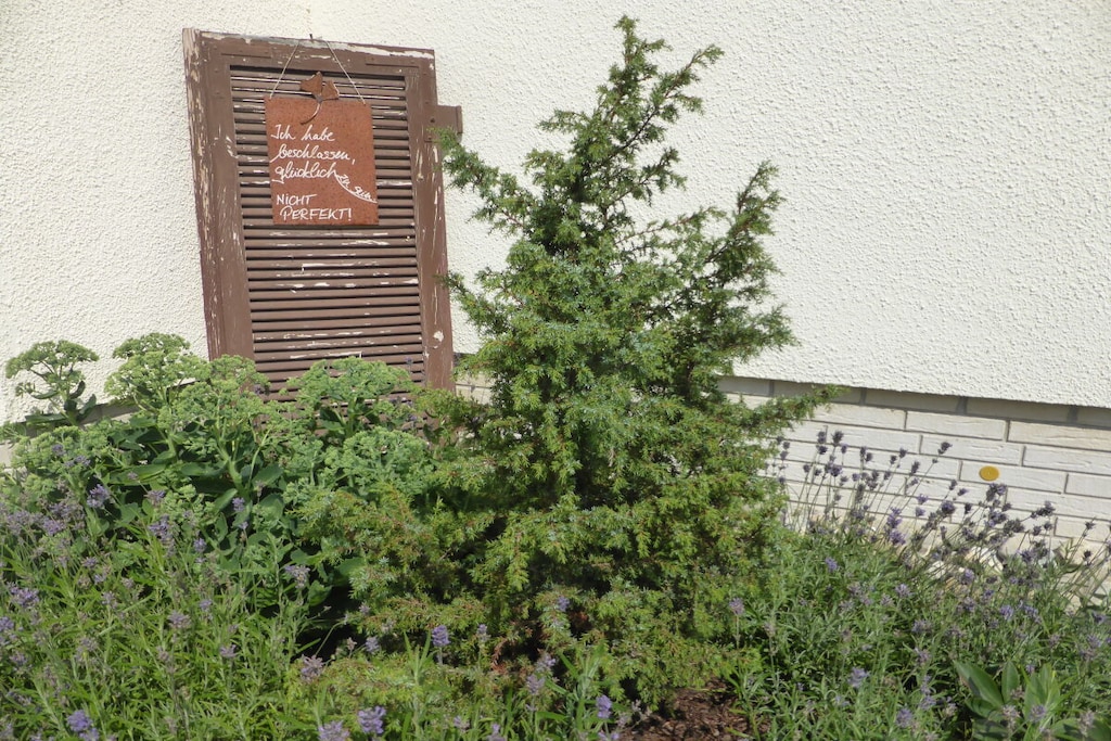 6546 - Nicht zugeordnet