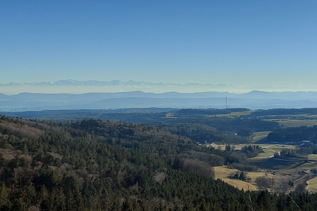 199109 - Nicht zugeordnet