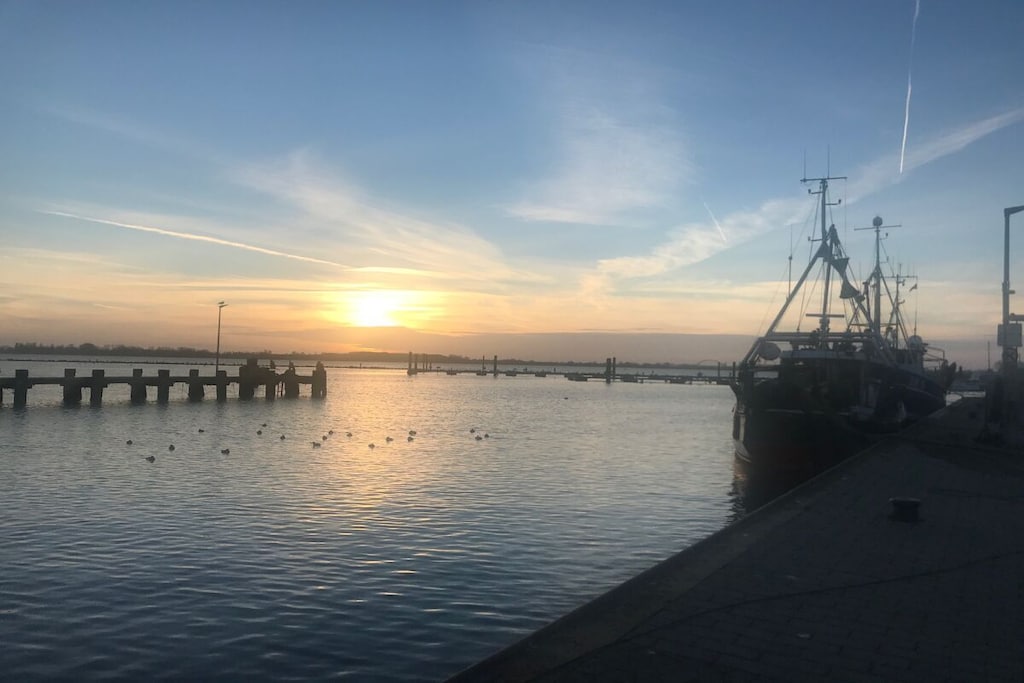 88581 - Niet-getagd