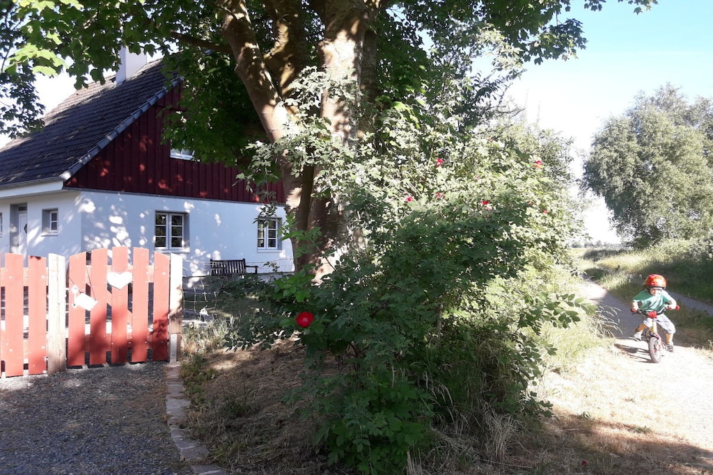 191521 - Non tagué