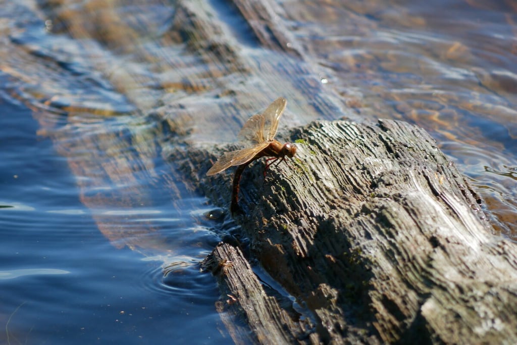 142116 - Nicht zugeordnet