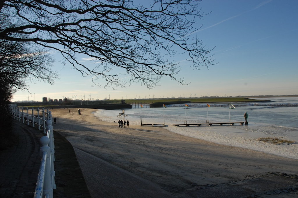 50638 - Niet-getagd