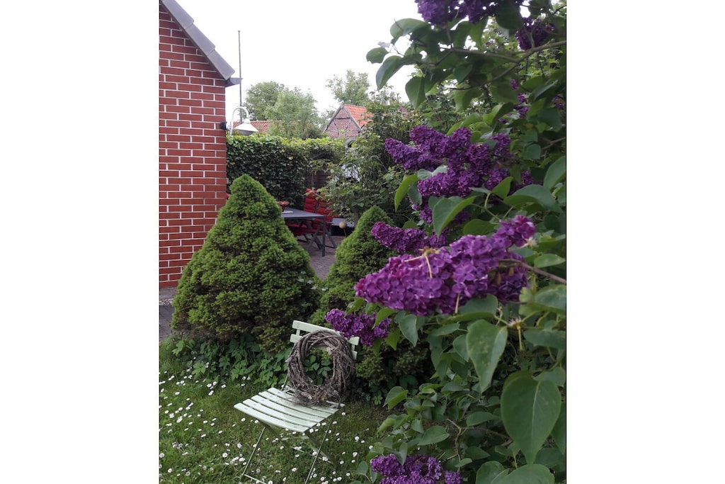 54930 - Niet-getagd