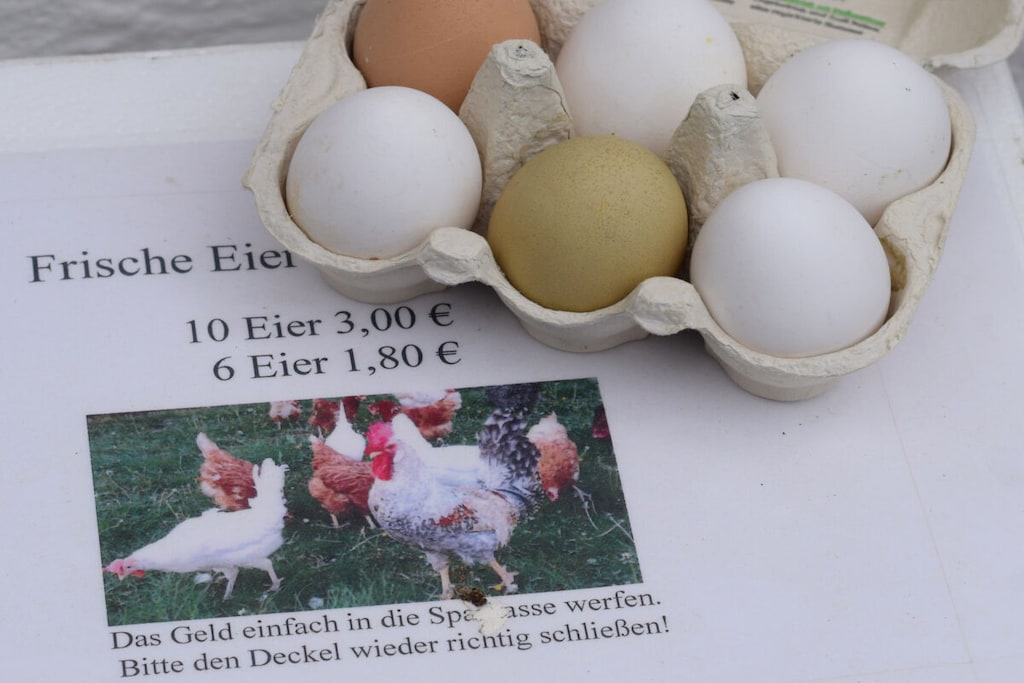 81266 - Niet-getagd