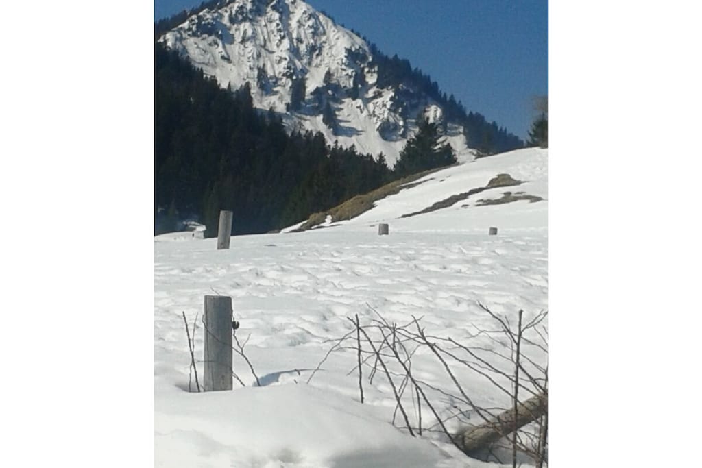123069 - Nicht zugeordnet