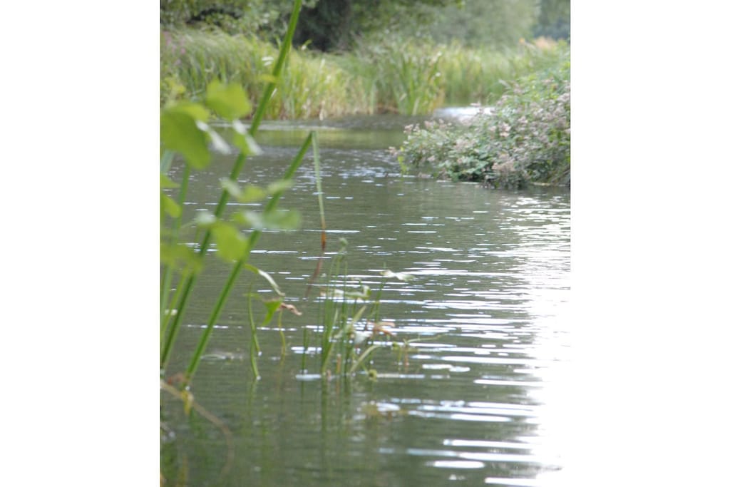 54901 - Niet-getagd