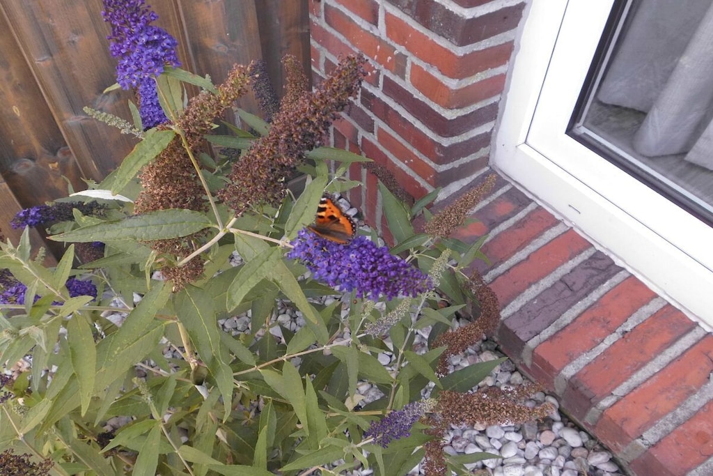 264237 - Niet-getagd