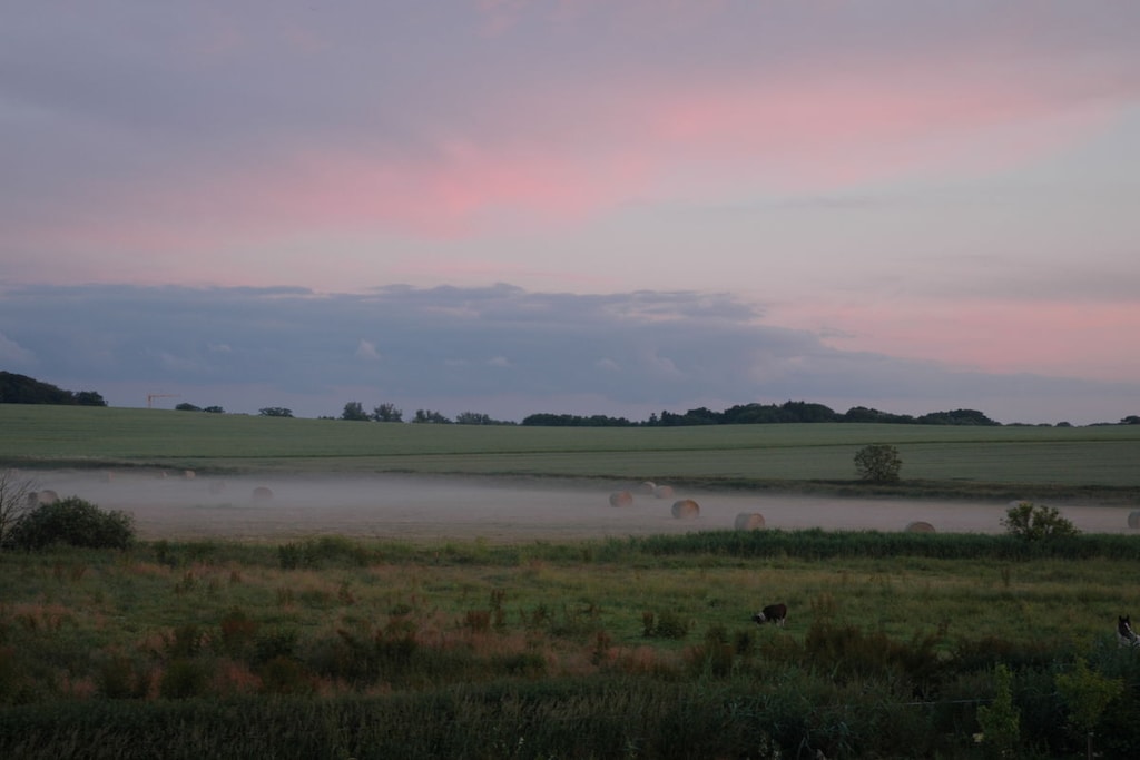 101739 - Niet-getagd