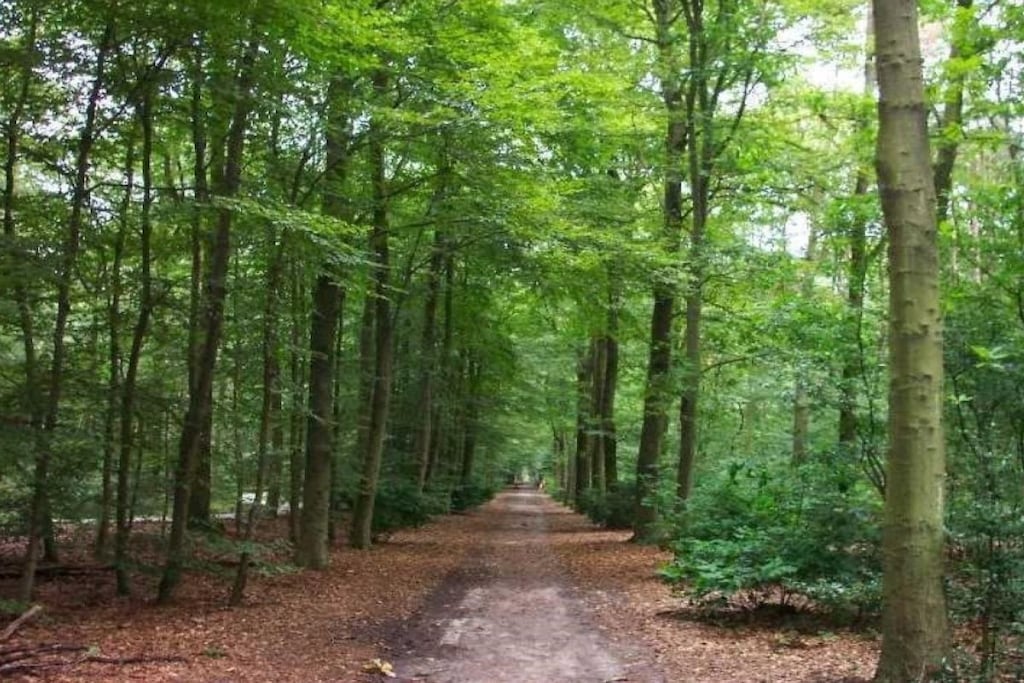 5336 - Niet-getagd