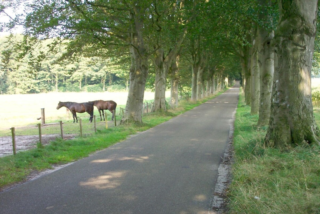 5336 - Niet-getagd