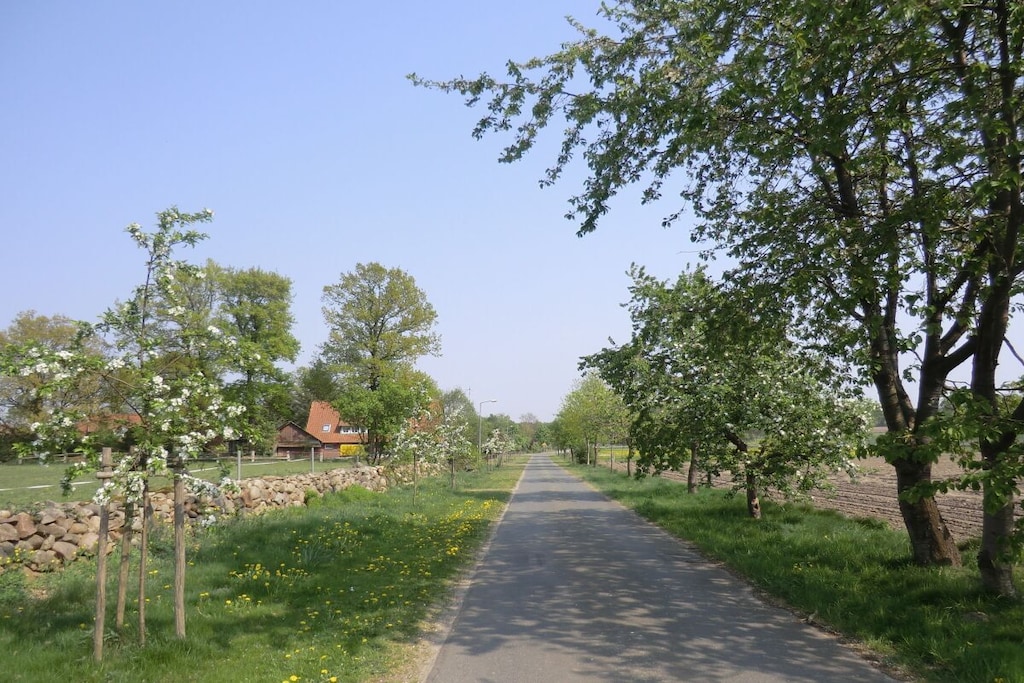 64926 - Niet-getagd