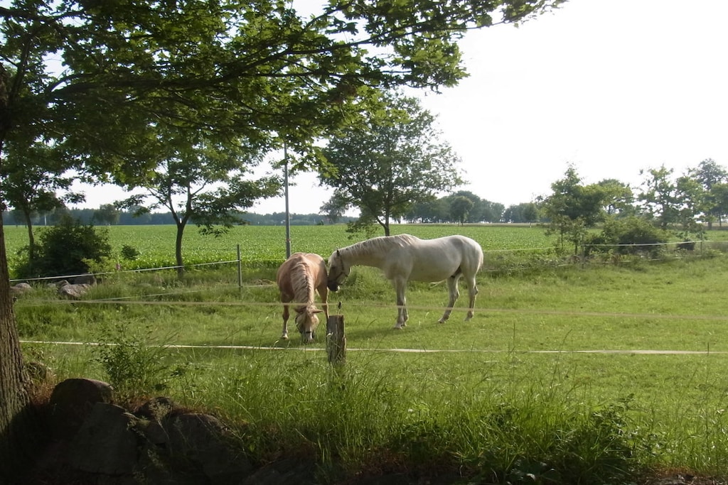 64926 - Niet-getagd