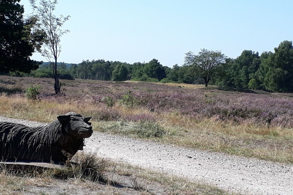 64926 - Niet-getagd