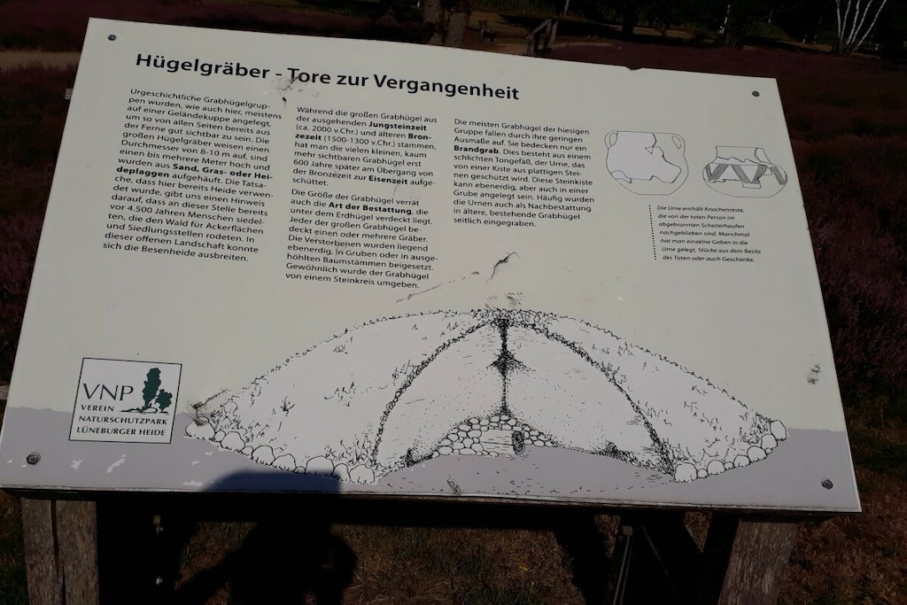 64926 - Niet-getagd